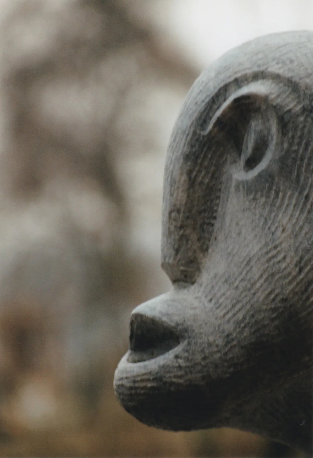 De allegorie van de grot van Plato